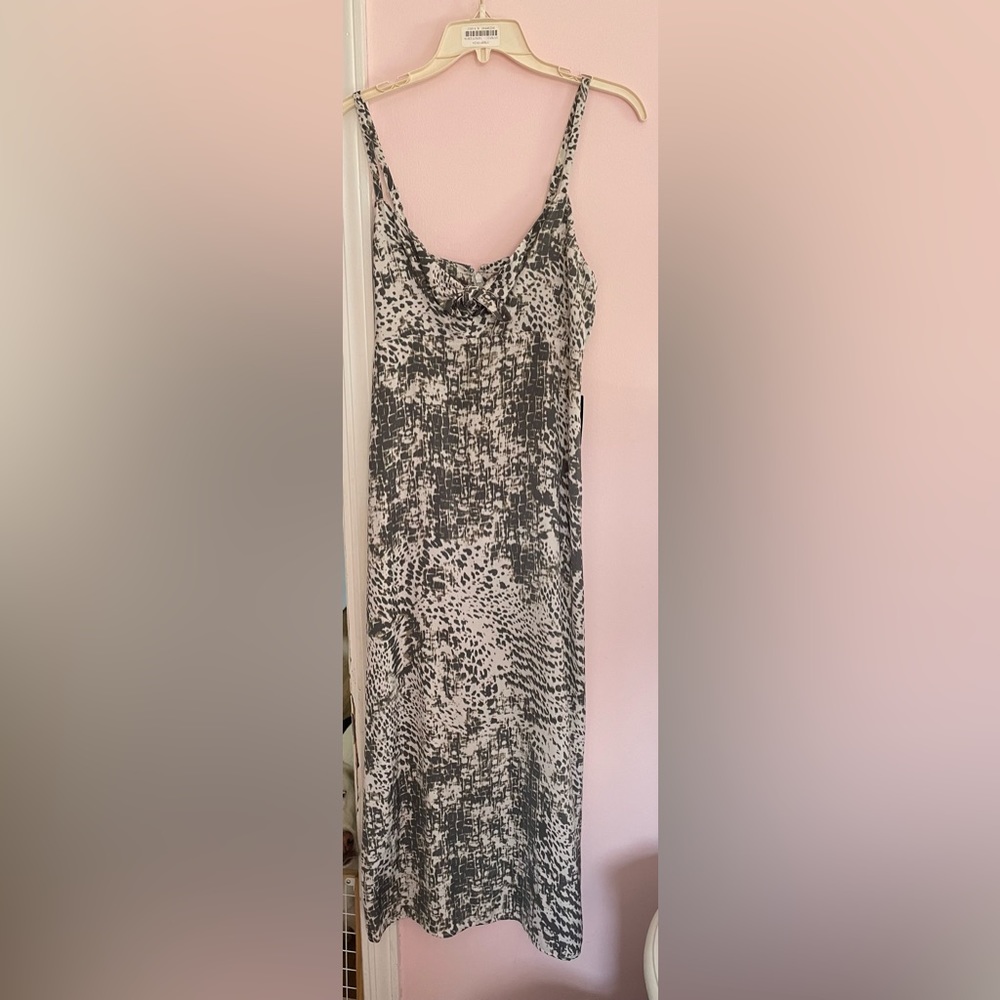 Express Dress